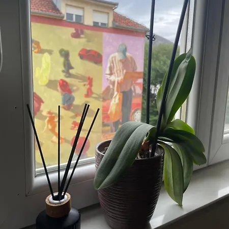 Apartment Lena